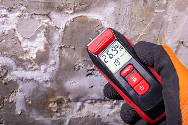 Best Mold Remediation Experts  in Calhoun Falls, SC